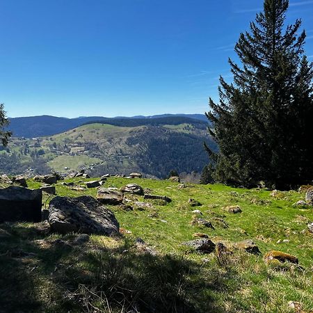 Le Petit Beillard Apartment Gérardmer Екстериор снимка