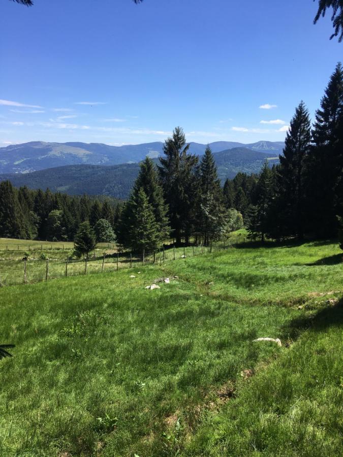 Le Petit Beillard Apartment Gérardmer Екстериор снимка