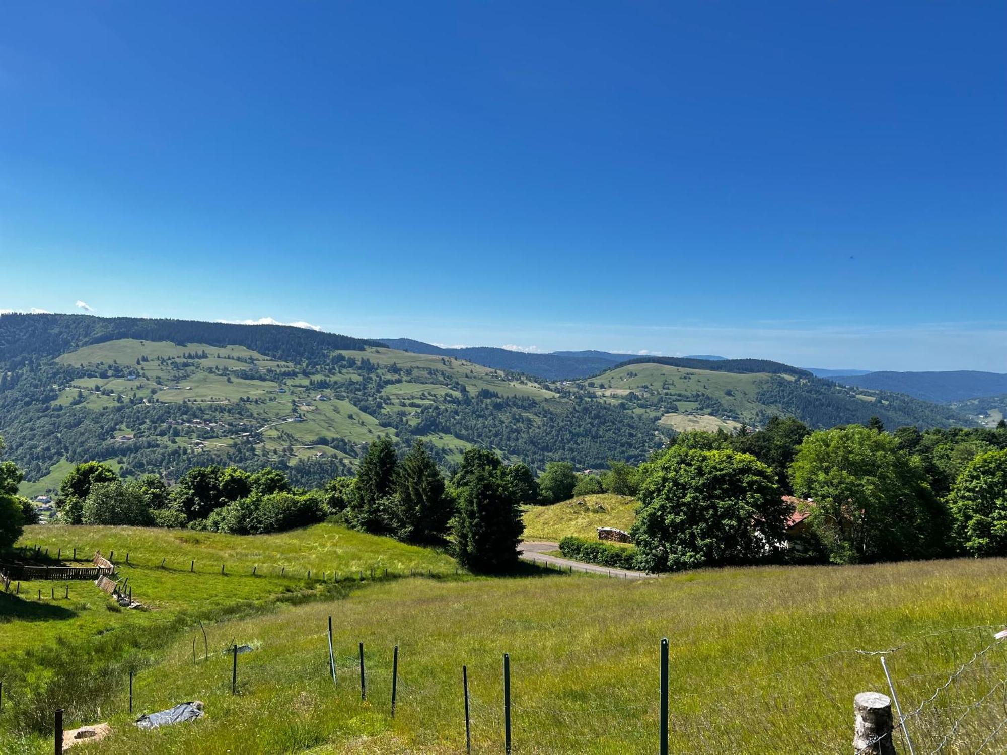 Le Petit Beillard Apartment Gérardmer Екстериор снимка