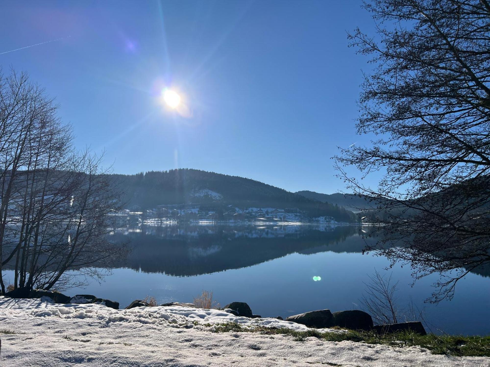 Le Petit Beillard Apartment Gérardmer Екстериор снимка